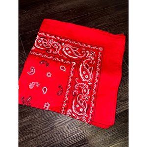 11-Pack Multi-Purpose Cotton Paisley Cowboy Bandanas (Toy Story, Western Party)